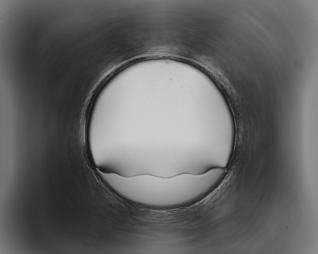 X0000094081224200711161600