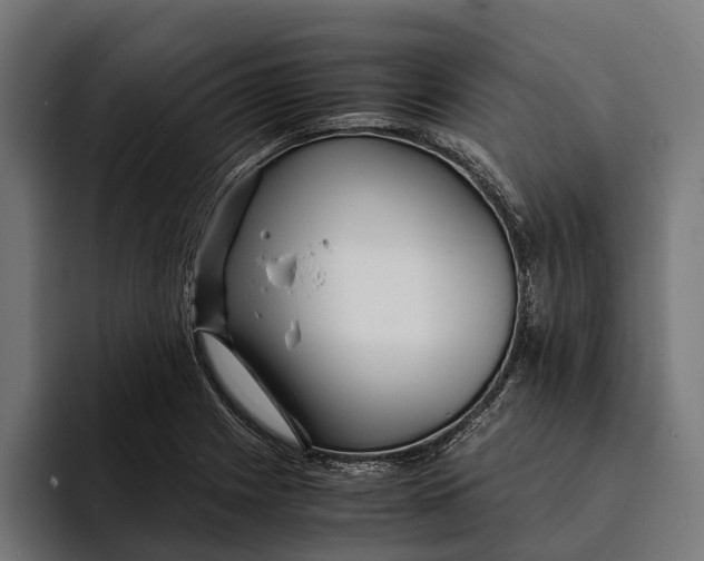 X0000094081225200711161601