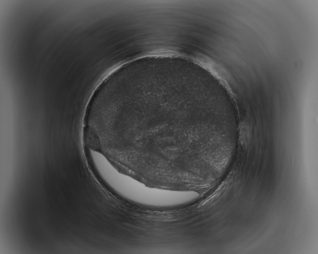 X0000094081229200711161601