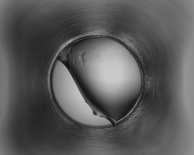 X0000094081230200711161601
