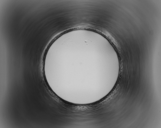 X0000094081232200711161601
