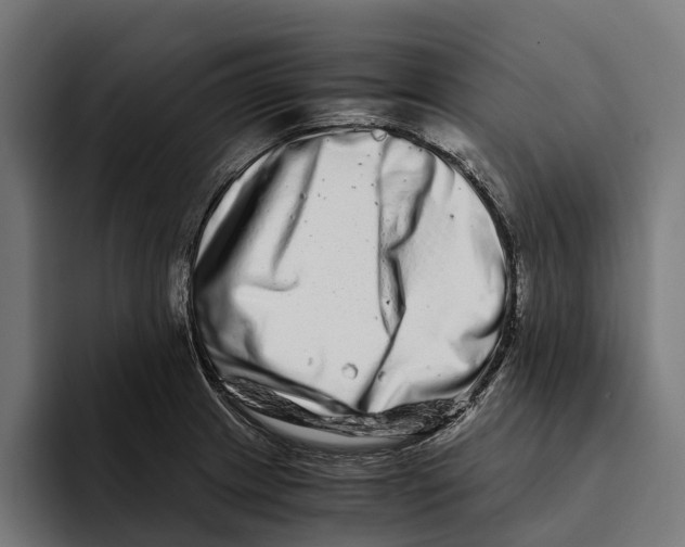 X0000094081233200711161601