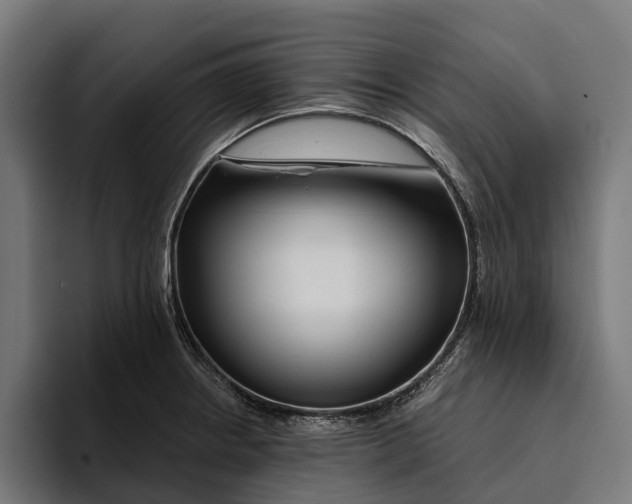 X0000094081234200711161601