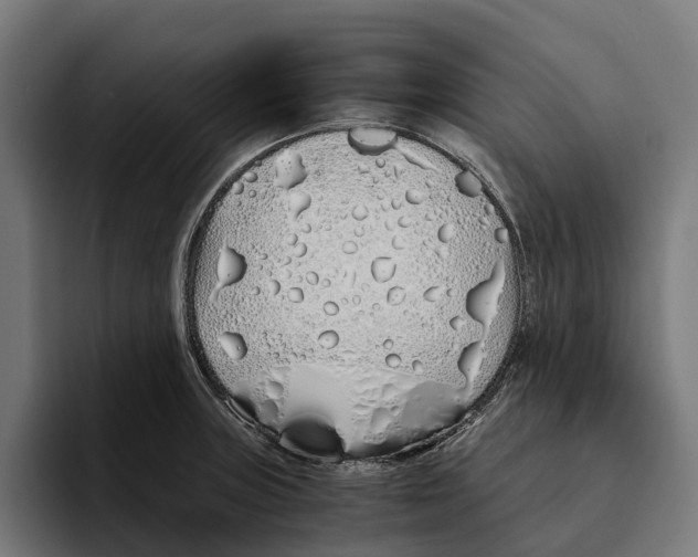 X0000094081235200711161601