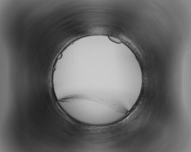 X0000094081236200711161601