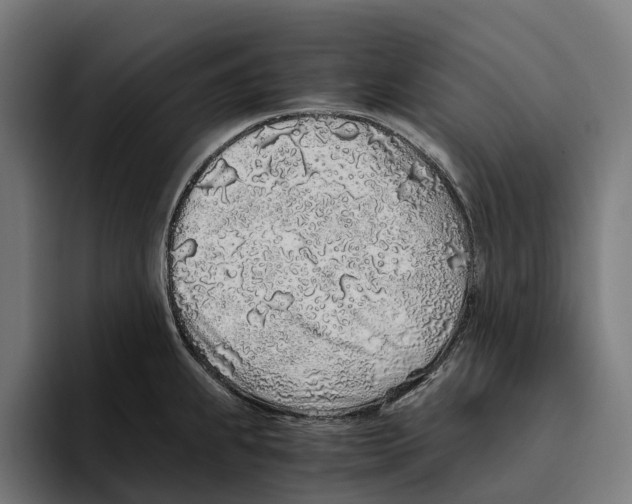 X0000094081239200711161601