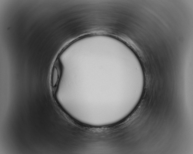 X0000094081240200711161601