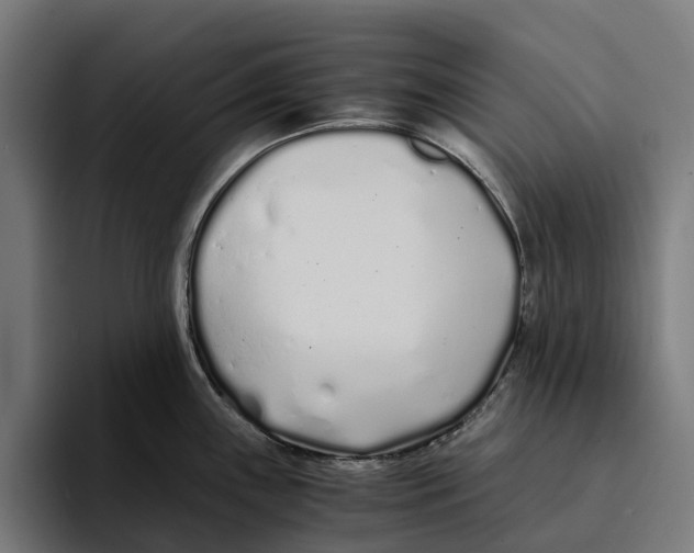 X0000094081243200711161601