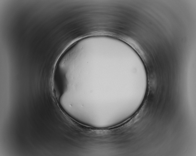 X0000094081244200711161601