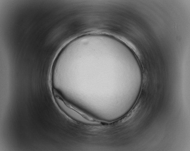 X0000094081247200711161601