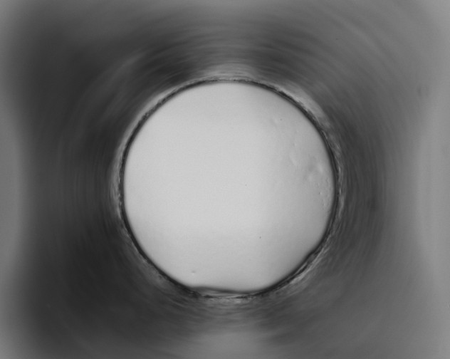 X0000094081248200711161601