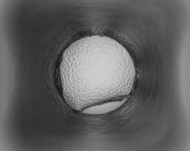 X0000094081249200711161600