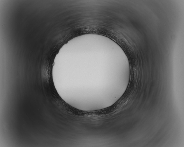 X0000094081250200711161600