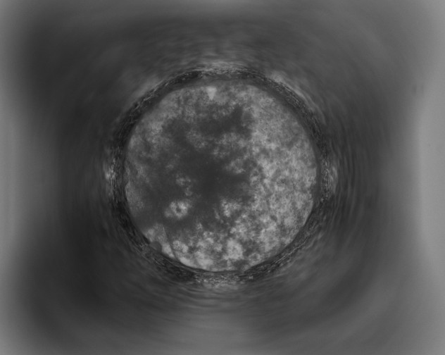 X0000094081254200711161600