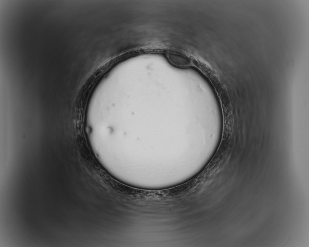 X0000094081255200711161600
