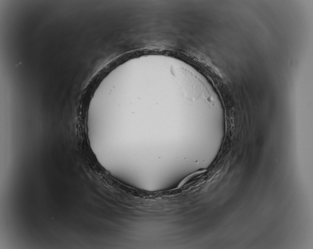 X0000094081256200711161600