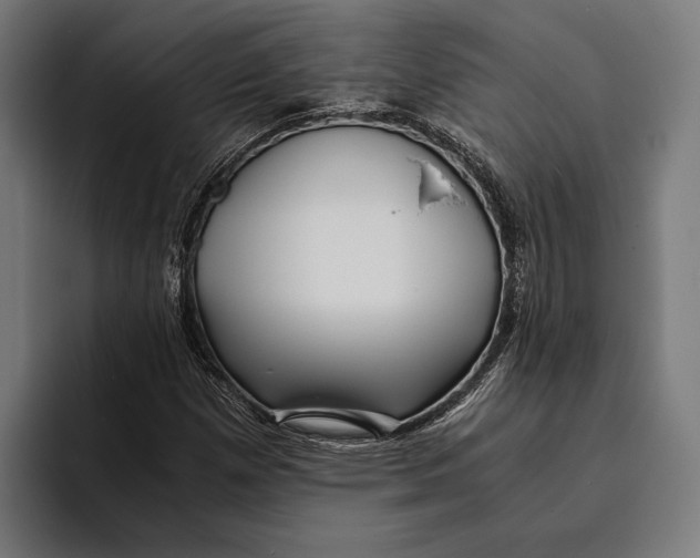 X0000094081257200711161600