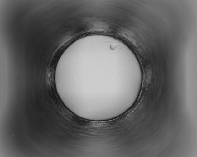 X0000094081258200711161600