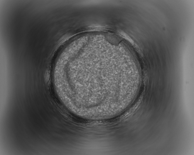 X0000094081259200711161600