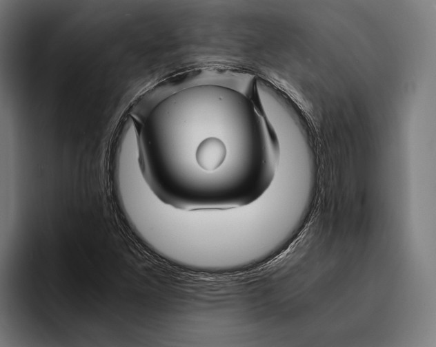 X0000094081261200711161600