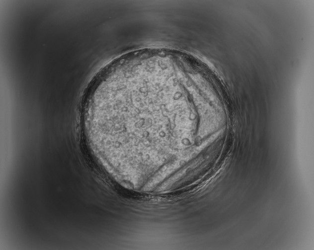 X0000094081263200711161600