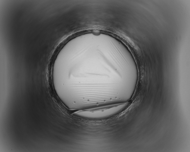 X0000094081264200711161600