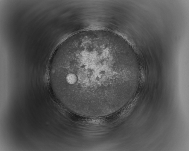 X0000094081266200711161600