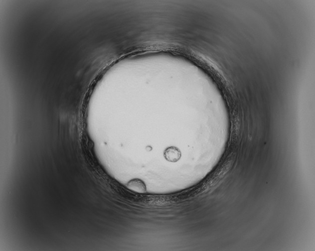 X0000094081267200711161600
