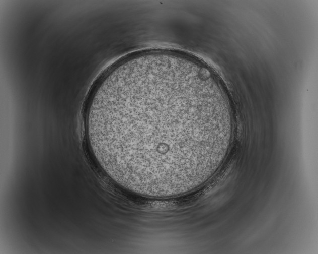 X0000094081271200711161600