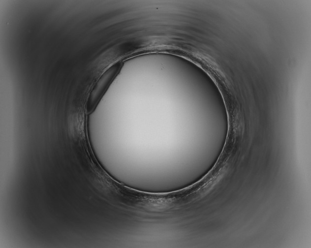X0000094081273200711161600