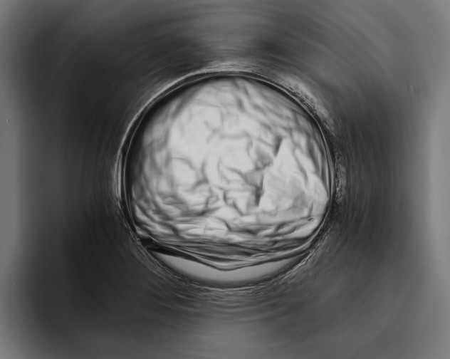 X0000094081276200711161600