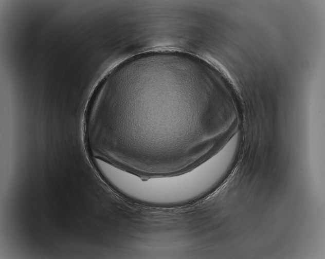 X0000094081277200711161600