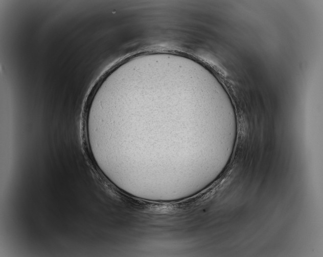 X0000094081278200711161600