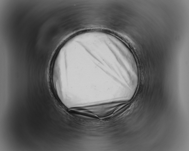 X0000094081279200711161600