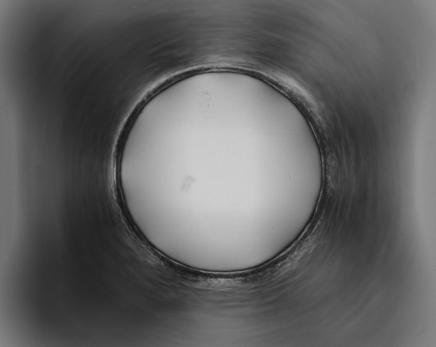 X0000094081280200711161600