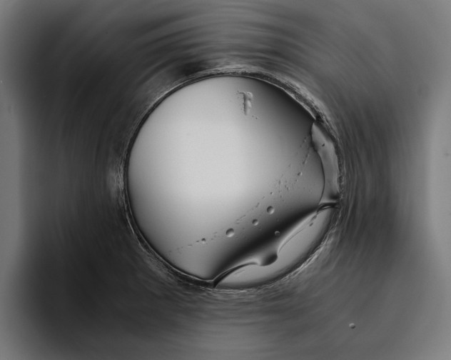 X0000094081281200711161600