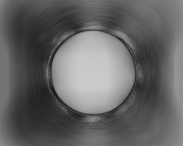 X0000094081282200711161600