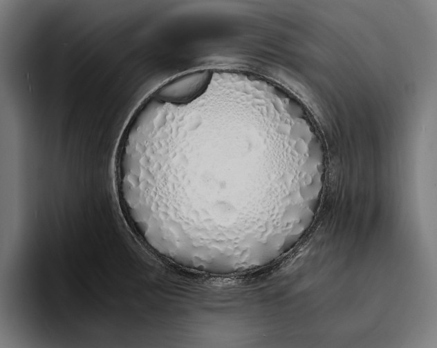 X0000094081283200711161600