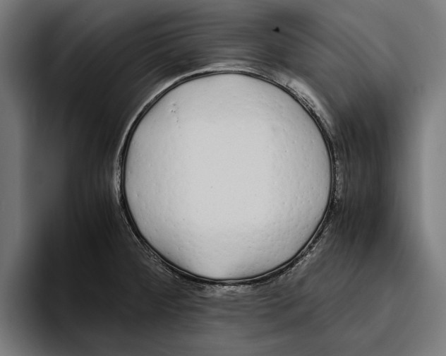 X0000094081284200711161600