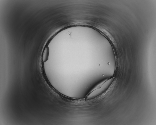 X0000094081285200711161600