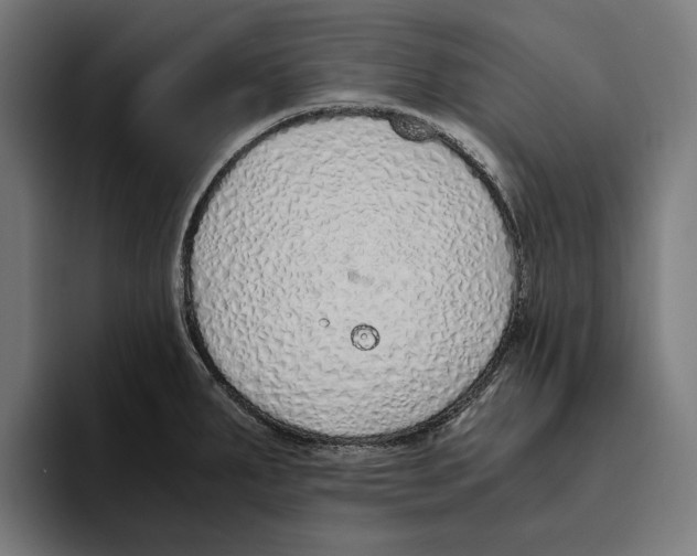 X0000094081287200711161600