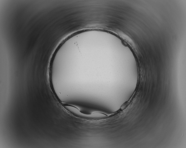 X0000094081288200711161600
