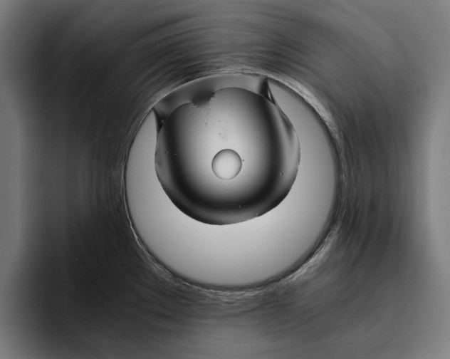 X0000094081289200711161600