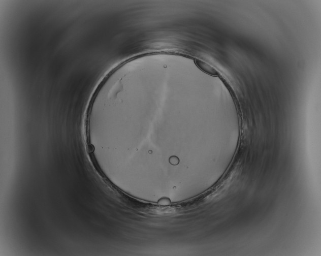 X0000094081291200711161600