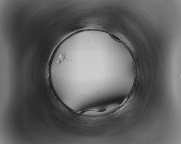 X0000094081292200711161600