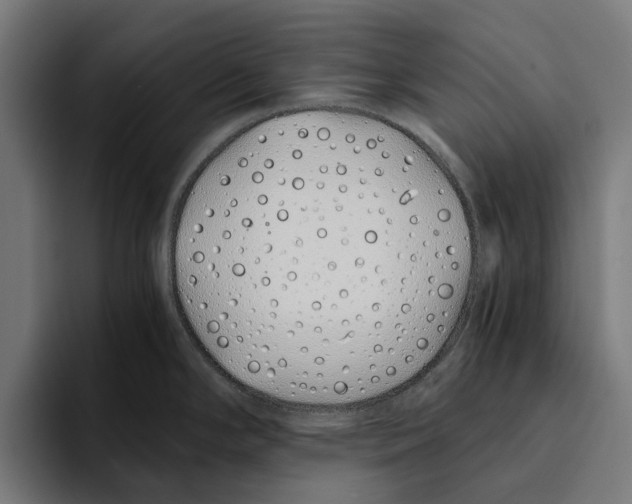 X0000094081294200711161600
