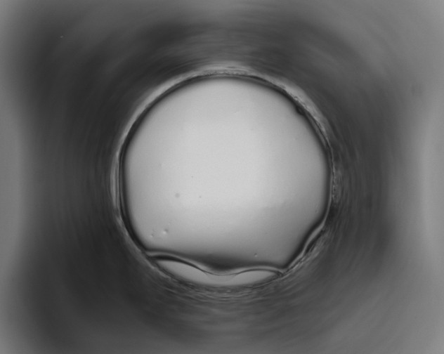 X0000094081295200711161600