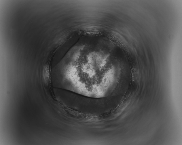 X0000094081298200711161559