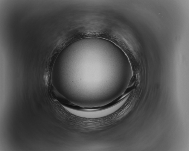 X0000094081300200711161559
