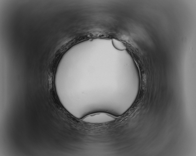 X0000094081302200711161559